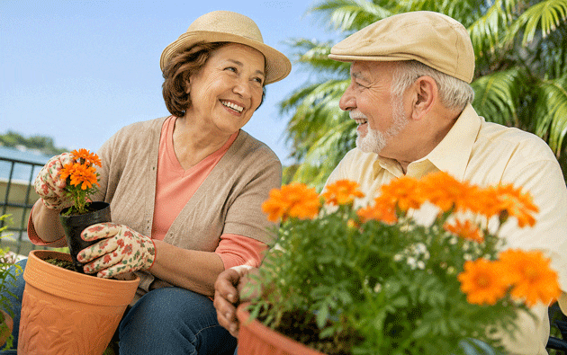 Senior couple back to gardening after learning about the early signs of cataracts at M&M Eye Institute in Prescott, Arizona.
