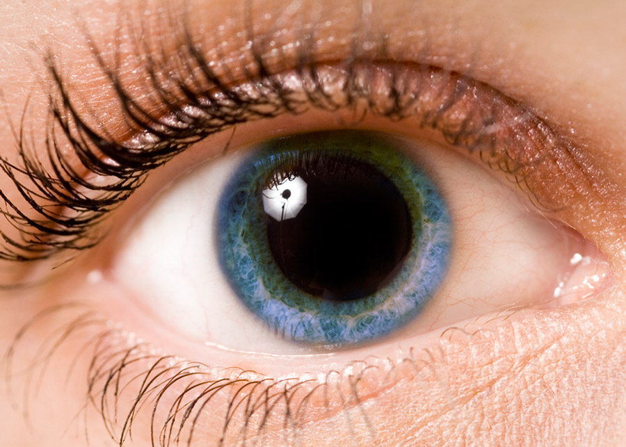 Dilation uses special eye drops to widen your pupils so your doctor can get a better view of the inside and back of the eye.